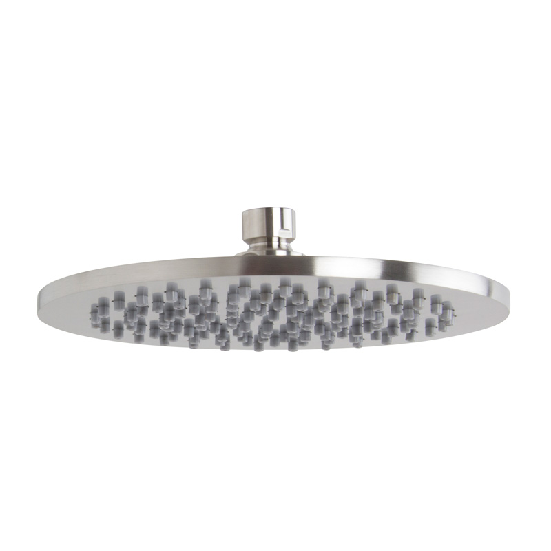Stainless steel showerhead