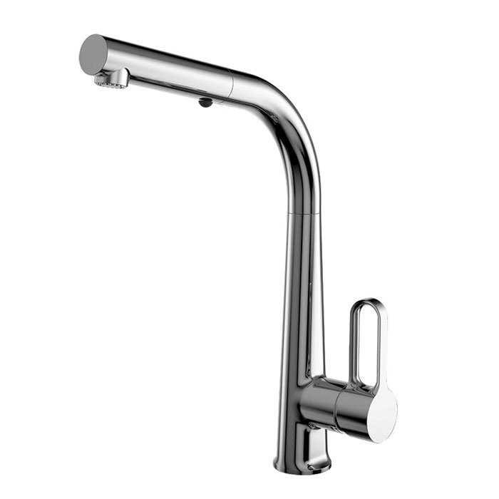 Kitchen mixer with extractable handshower Skinny